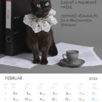 Tulkacik