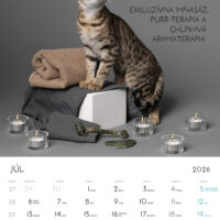 Tulkacik