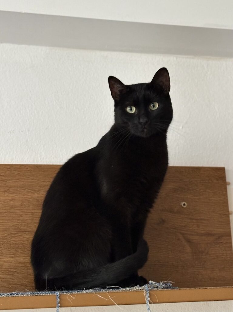 Bonnie a Bára