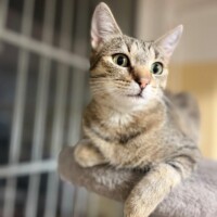 Nina